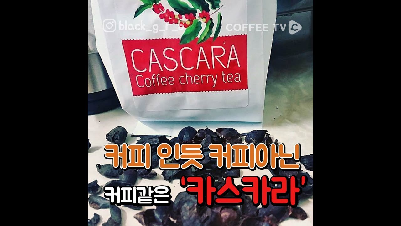 【커피TV】 커피인듯 커피아닌 커피 같은 '카스카라(Cascara Tea)'
