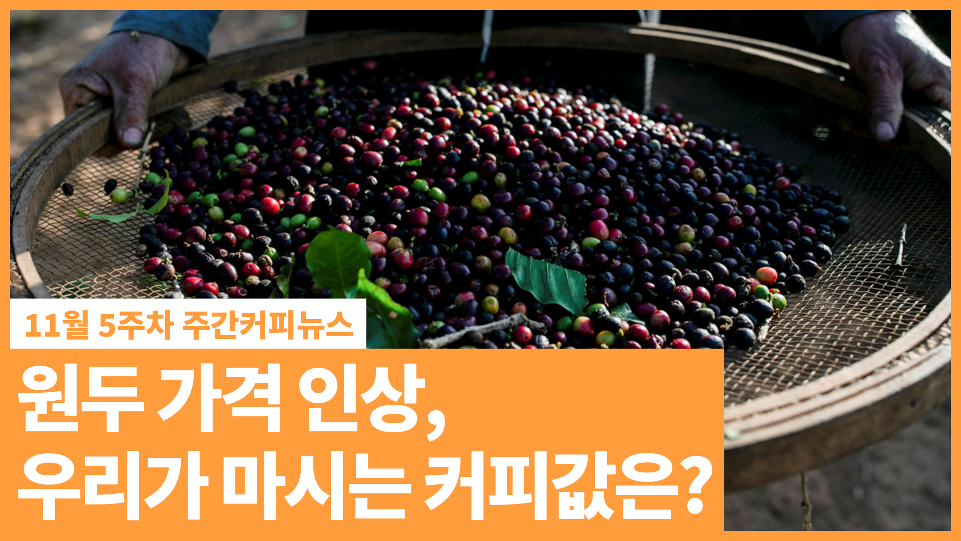 원두 가격 인상, 우리가 마시는 커피값은?' | 11월 5주차 주간커피뉴스