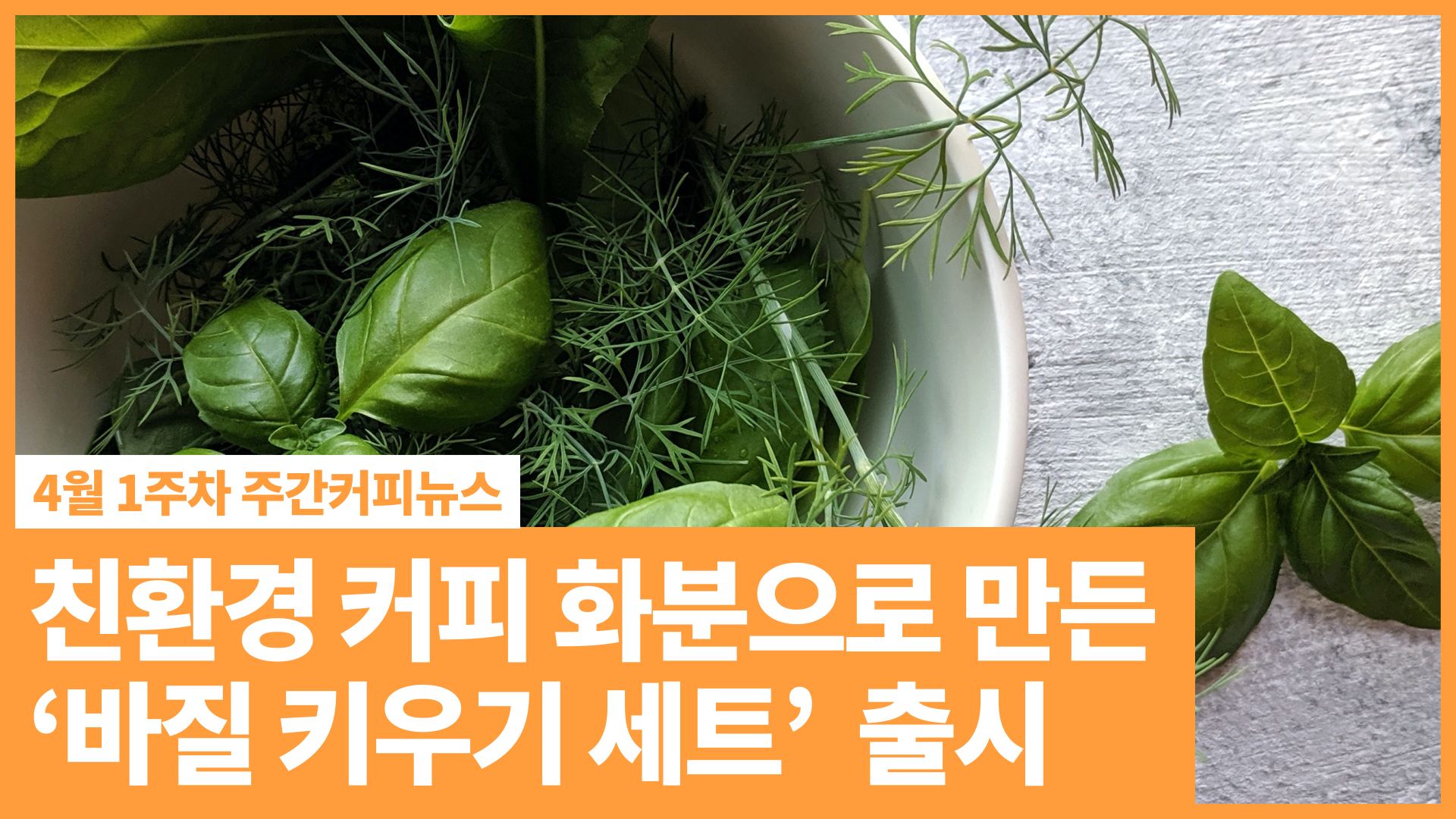 CJ프레시웨이, 친환경 커피 화분으로 만든 '바질 키우기 세트' 출시 | 4월 1주차 주간커피뉴스