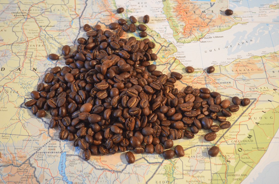언제쯤 커피농부들의 임금이 오를까 에티오피아 커피농부들